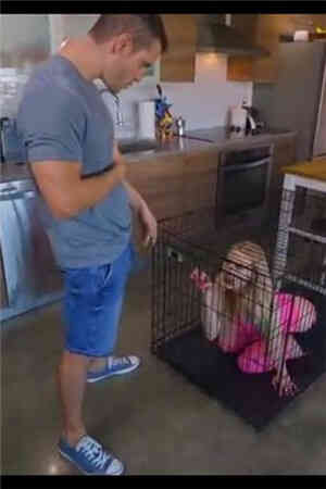 White-饲养可爱小性奴_(丝袜，美腿)