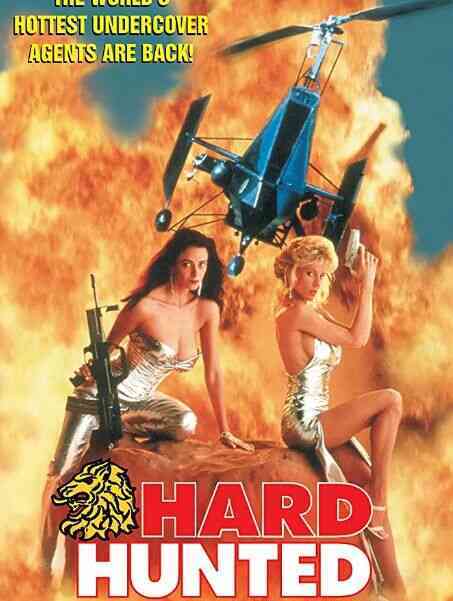 夏威夷冷艳特工